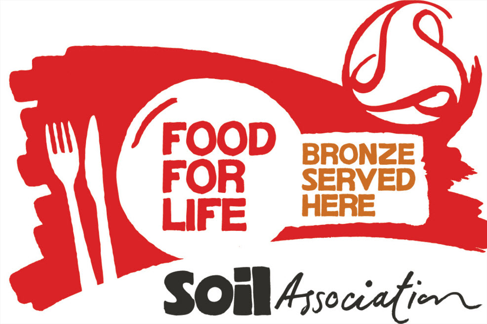 SA-FFL-Bronze_Logo